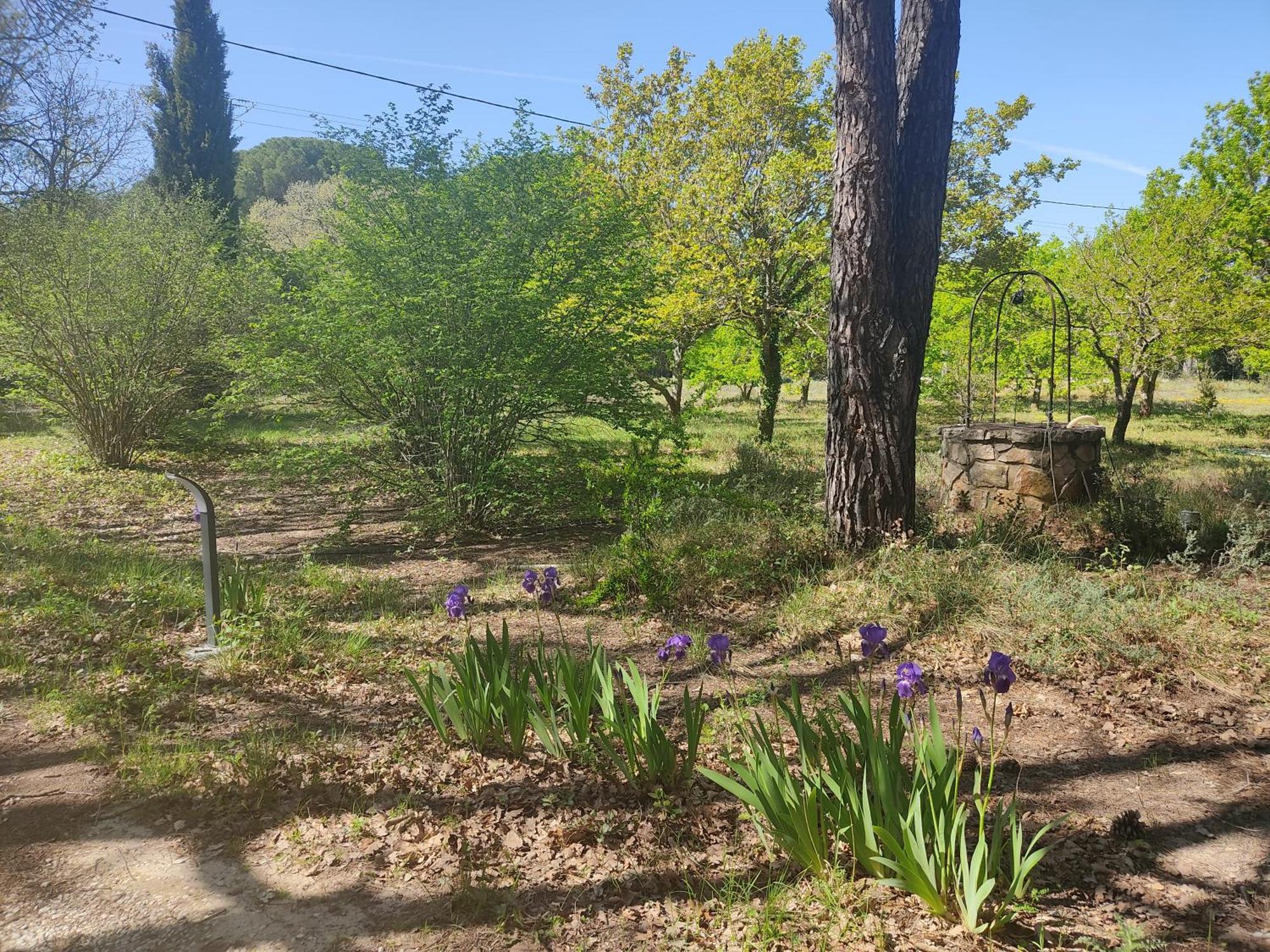 Villa Dans La Foret Provencale Jouques Bagian luar foto